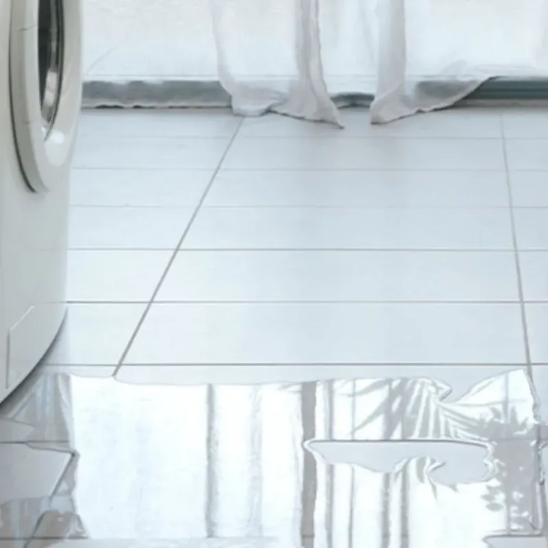 Appliance Leak Cleanup in Latta, SC