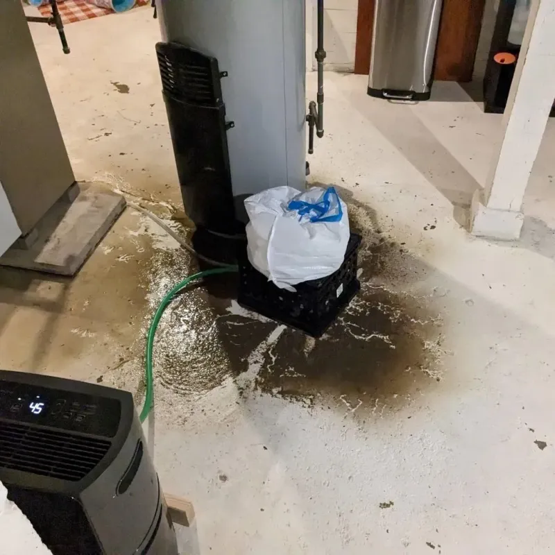Sewage Backup Cleanup Service in Latta, SC